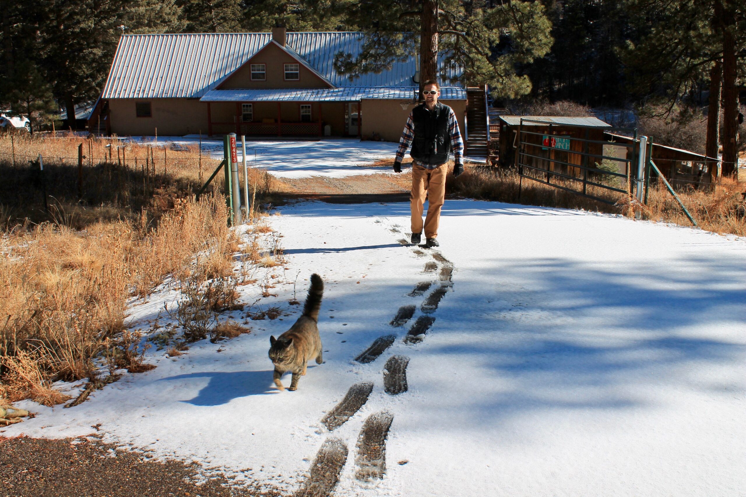 Gibbles up driveway