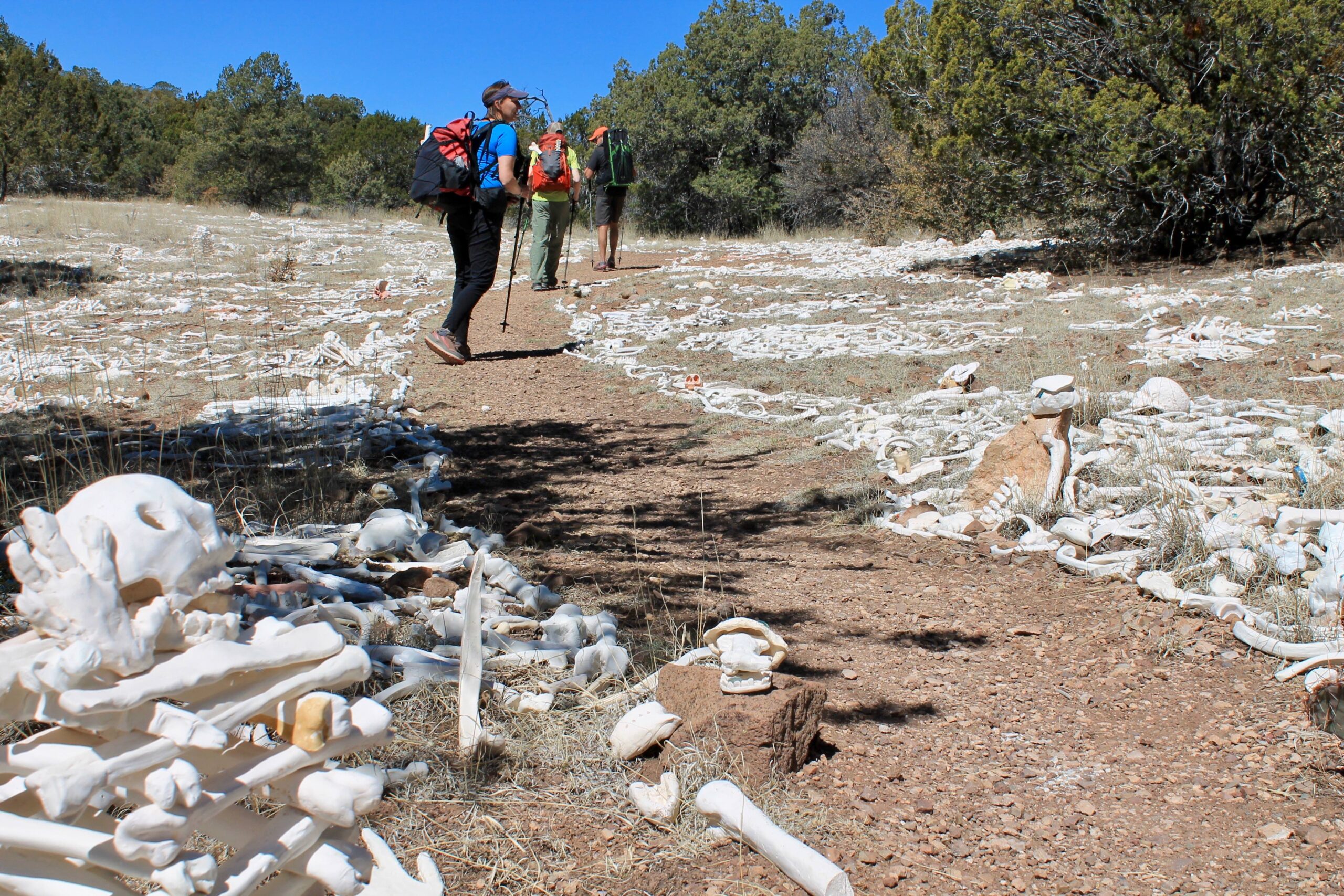 boneyard hike2