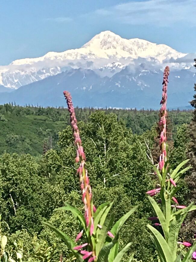 Denali