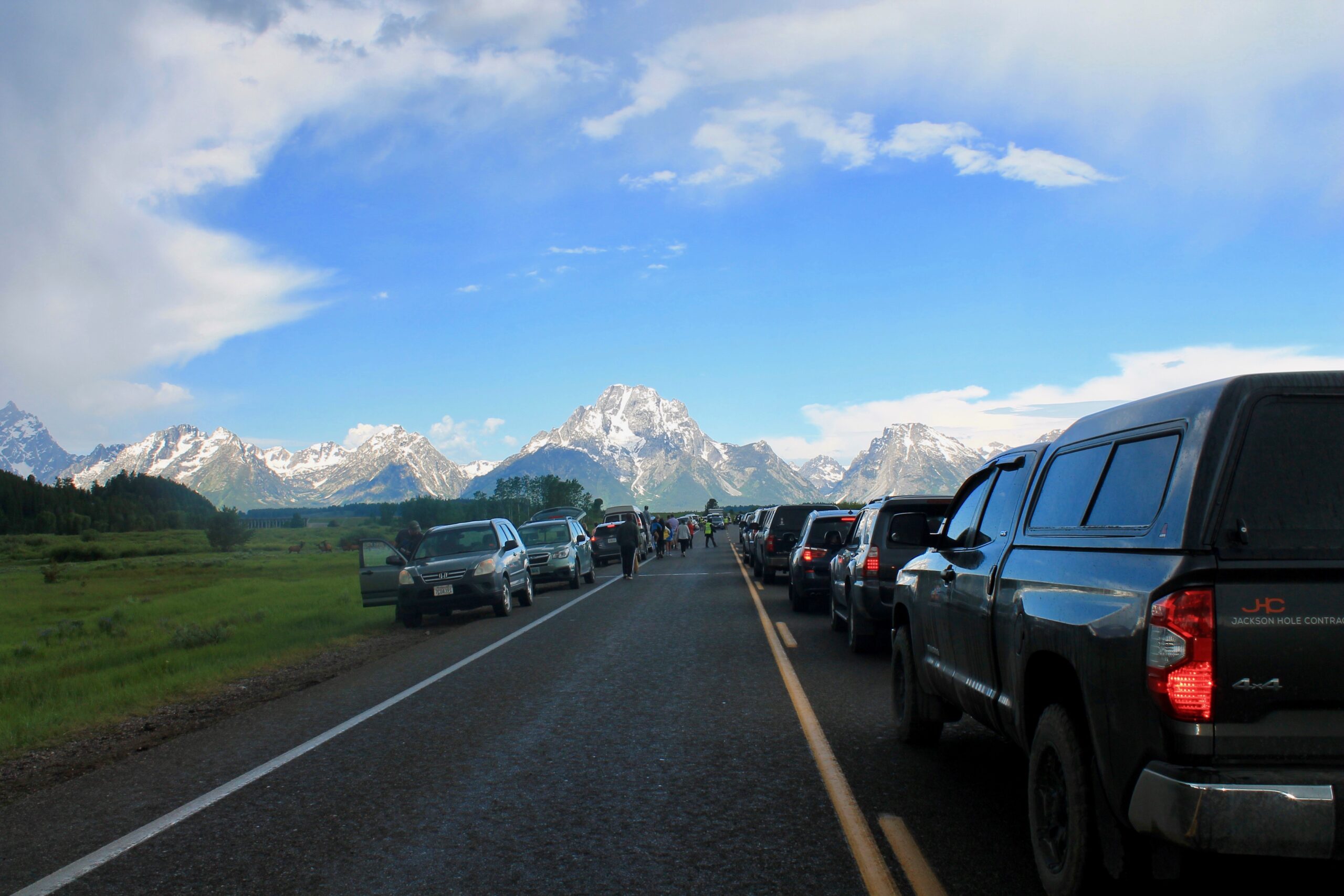 Teton Animal Traffic