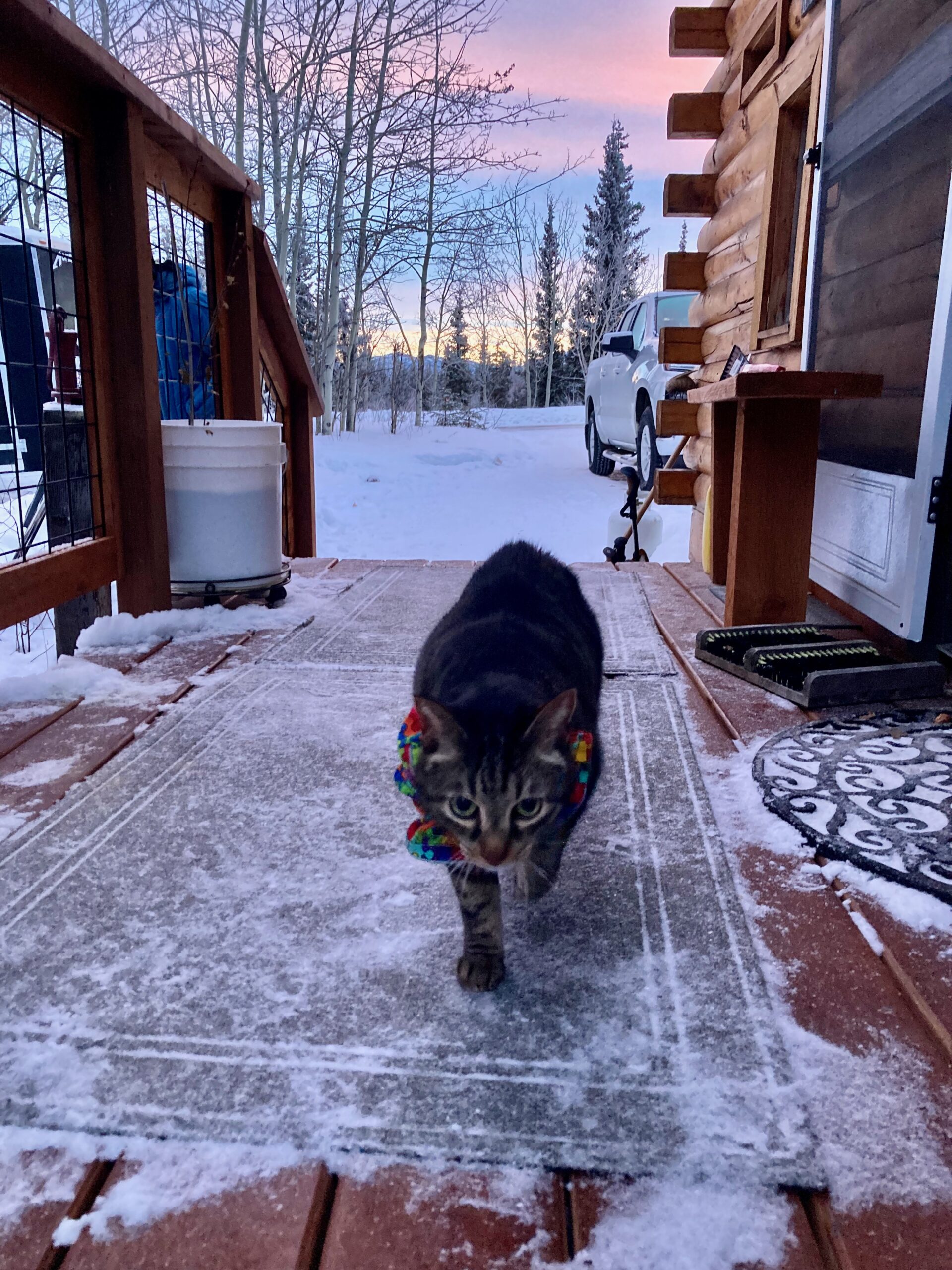 Ted-outside